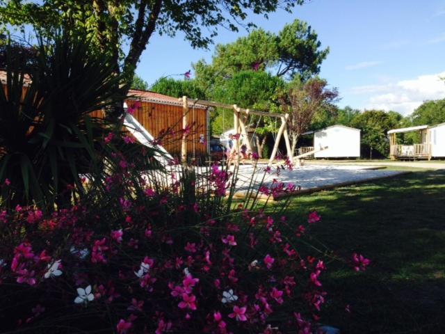 Camping Aux Couleurs Du Ferret Lège-Cap-Ferret 外观 照片