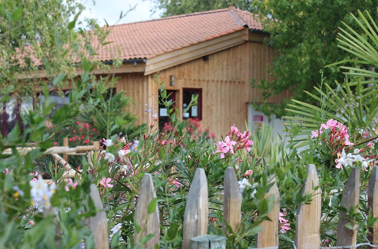 Camping Aux Couleurs Du Ferret Lège-Cap-Ferret 外观 照片